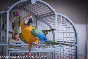 Skittles showing off for the camera