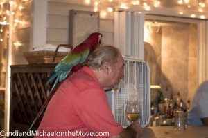 John and one of his parrots, "hanging out" at the bar