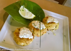 Square Grouper 2014 07 09 - 0004