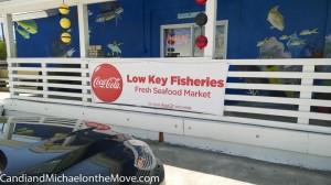 Square Grouper 2014 07 09 - 0027