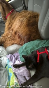 WP_20140817_13_43_20_Pro