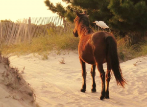 It's great having a friend to give you a ride.