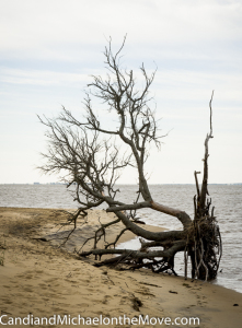 Jockey's Ridge butts up against the gorgeous Currituck Sound 