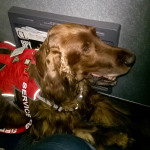 Mick's executive seating on the bulkhead floor