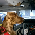 Checking  the view out the front window was part of Mick's pre flight procedure