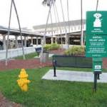 The funky (and fabulous) pet relief area at the Miami airport