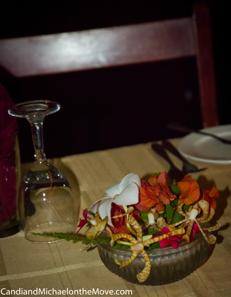 Ruby loves orchids and grows a lovely selection of them and then makes beautiful centerpieces with them.