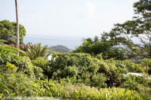 The lovely view from John's restaurant, high up in the mountains looking towards the Atlantic Ocean