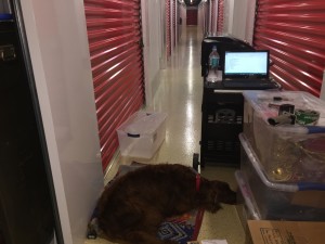 Mick, our 'attack' dog, guarding the storage unit while we packed.  Note the computer on the gas grill that holds our master inventory list by box number and describes what is inside each box.