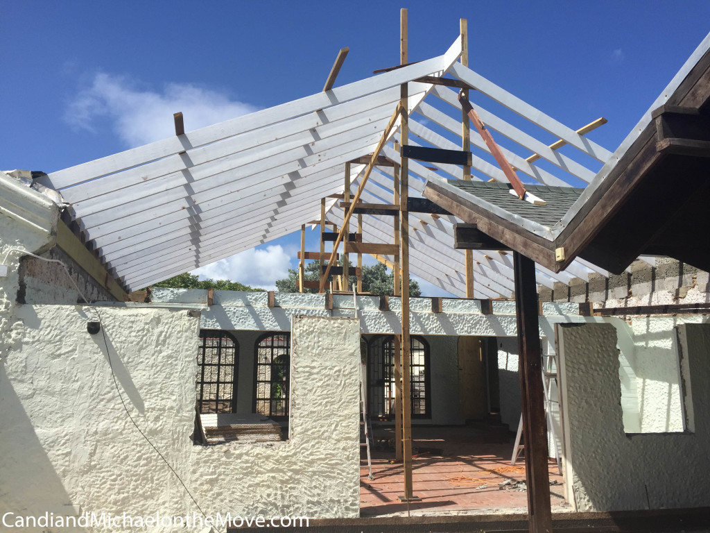 The original back wall of the house.