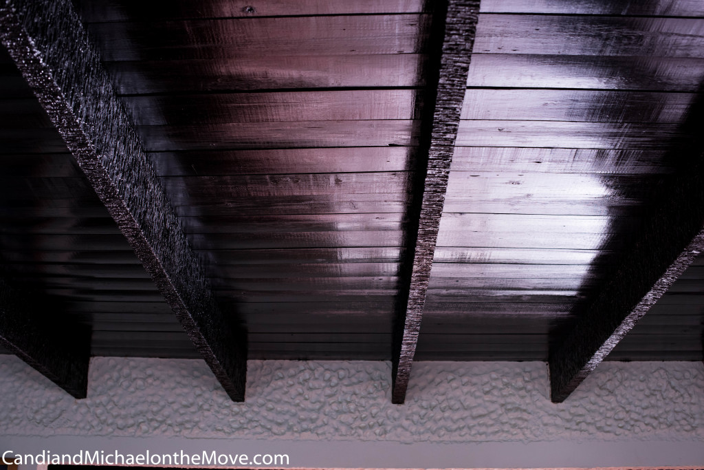 We are going to salvage the heavy rafters to make a outdoor trellis. The new ceiling will be white (and peaked)